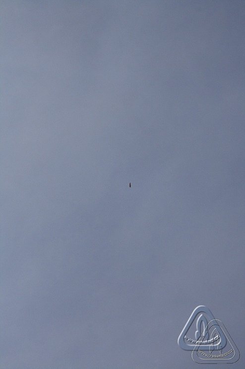 2012 Svojek mirek sobota